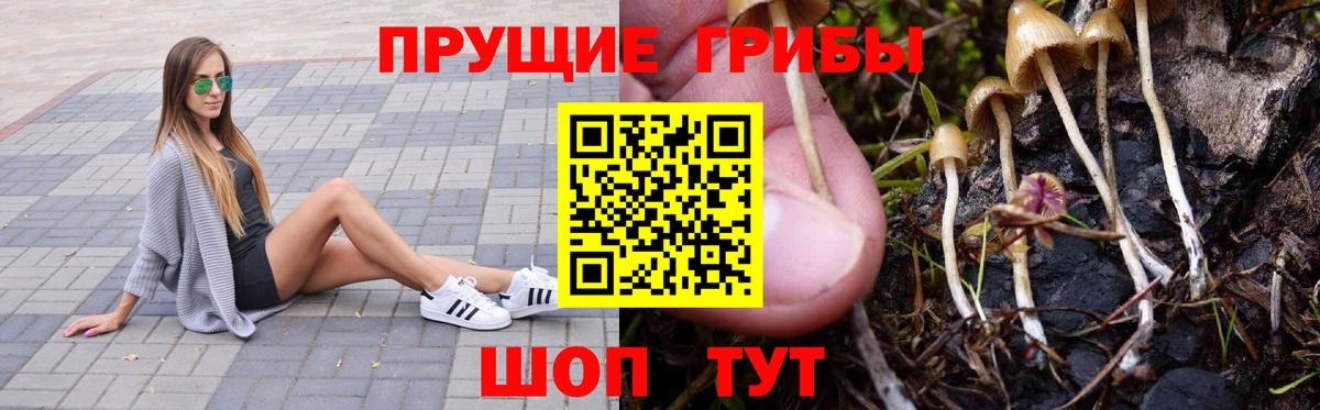 Псилоцибиновые грибы MAGIC MUSHROOMS Клинцы